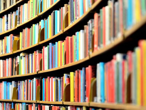 Дневни магазин културе