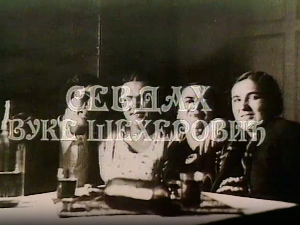 Силуете: Севдах Вуке Шехеровић