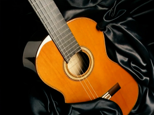 "Акустичне гитаре"