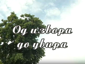 Од извора до увира