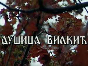 Лети, лети песмо моја мила: Постер Душице Билкић