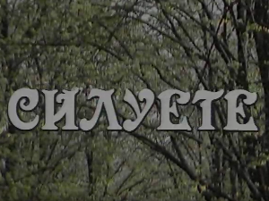 Силуете: Мијат Мијатовић