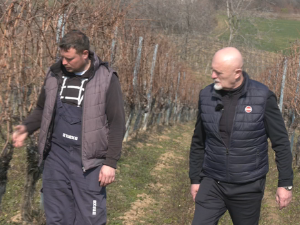 Карловачка резидба