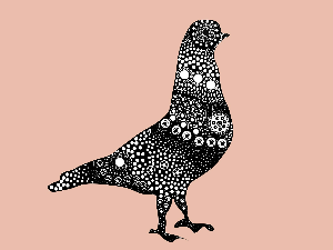 Добро јутро децо: Како успешно не уловити голуба