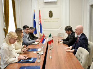 Министарка привреде са амбасадорима о проблему професионалних возача