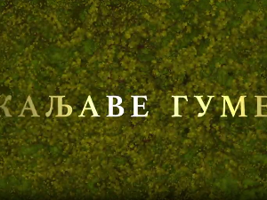 Каљаве гуме, 5-10