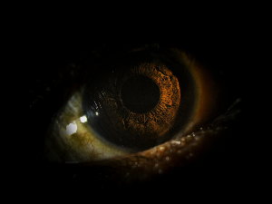 Људи ипак имају треће око које су користили наши преци, знате ли где се налази