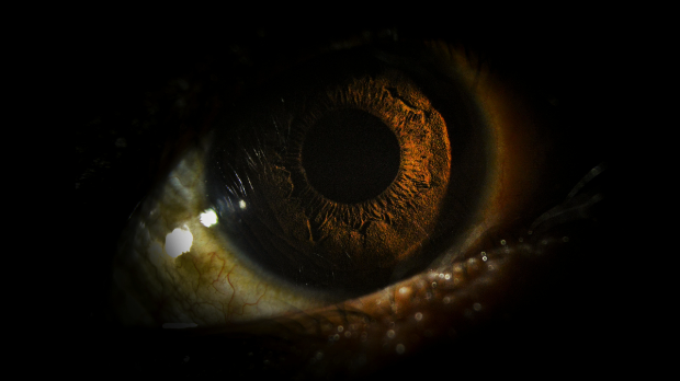 Људи ипак имају треће око које су користили наши преци, знате ли где се налази