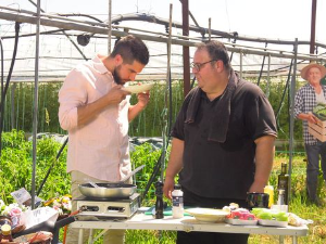 Гастрономад