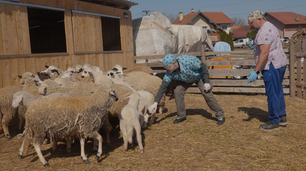 Ветеринарска мисија: Буђење природе