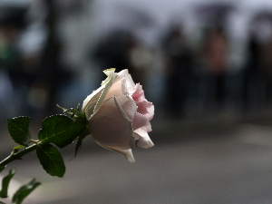 Психолог Ступар Ђуришић о две трагедије у школама у Турској: Деца се не рађају као убице