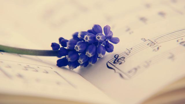 Жене у музици