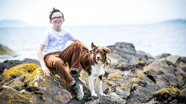 Кућни љубимац