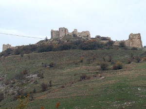 Мира Милојковић: Уместо молитве за Димитрија Кантакузина