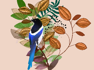 Дућан код свраке