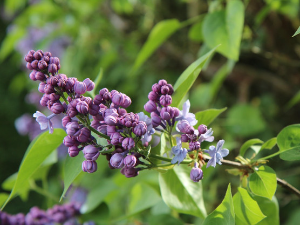 Претежно сунчано и топло, температура до 23 степена