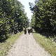 Наука привреди, 6. еп.