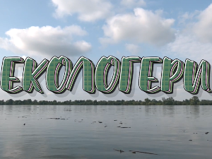 Екологери: Бољевац