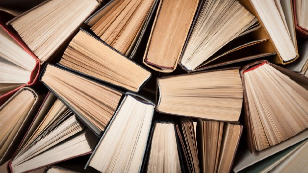 Око Балкана: Роман о вирџини и забрањеној љубави и модернистичка поезија о мајци 