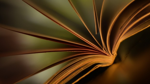 С песником у подне: Стеван Раичковић: ,,Књиге"