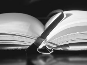 Жељана Вуканац: ,,До сутра"