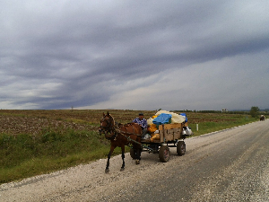 Данкина бројаница – На точковима живота