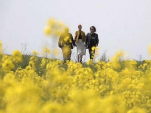 Пут у будућност – У потрази за разлогом слике: Седамдесете – Незнани јунак, 10-13