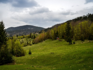 Природне лепоте и здрав живот