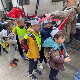Паноникум: Роде као део локалне заједнице