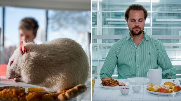 Како исхрана обликује мозак