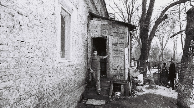 Romano Them: Ромске породице између загађења и исељења