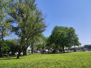 Разведравање у већем делу Србије уочи првомајских празника