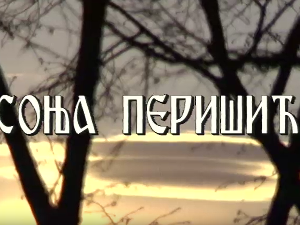 Лети, лети песмо моја мила: Постер Соње Перишић