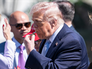 Бег са ивице провалије, Трамп прогласио двонедељно примирје