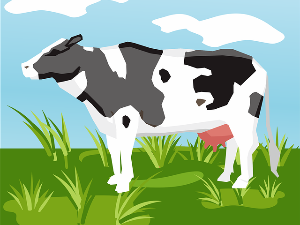 Букотла и дечак