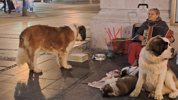 Нови дан: Јутарњи викенд програм