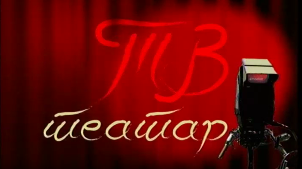 ТВ театар - Палилулски роман