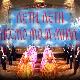 Лети, лети песмо моја мила 