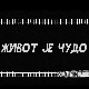 Живот је чудо, 5-6