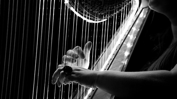Ансамбл The Harp Consort