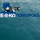 Бока поморска: Капетан Владо Ивелић (1855-1940)
