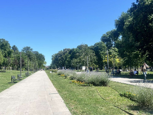 Сунчано и топло,  температура до 31 степен