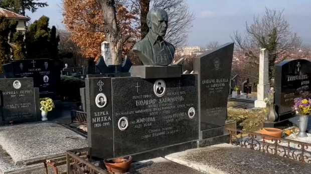Будимир Давидовић, витез слободе