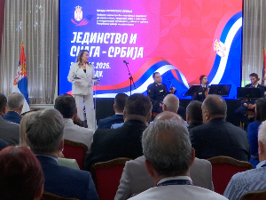 Од Експа до инвестиција: Дијаспора окупљена око развоја Србије