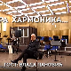 Кад засвира хармоника: Влада Пановић
