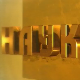 Наука 50: Правда