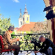 Еко перспективе: Волнијев хербаријум