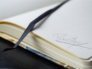Васко Попа: ,,Ружокрадице”