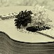 Избор недељног хита класичне музике