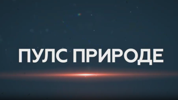 Пулс природе: Параглајдинг Гучево